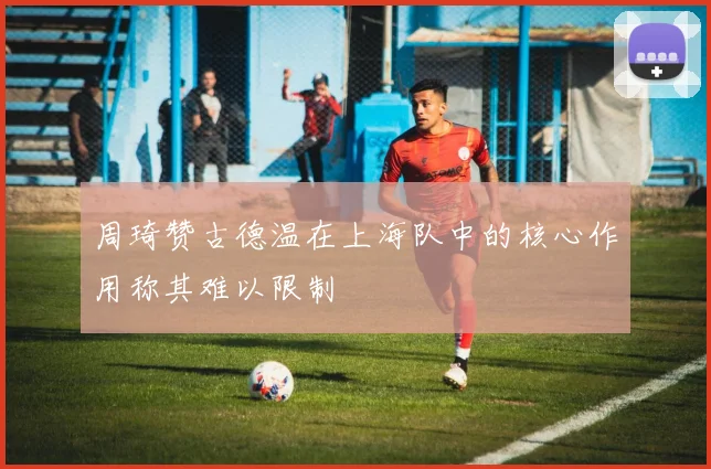 周琦赞古德温在上海队中的核心作用称其难以限制